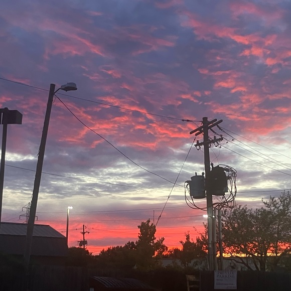 Meet your Posher, Darby - Picture 5 of 16